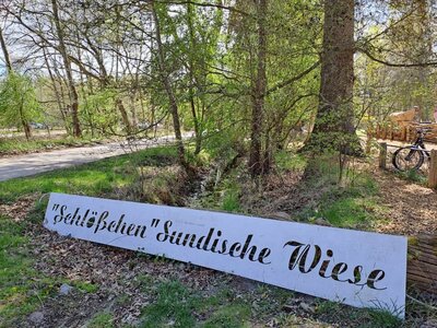 Foto des Albums: Wanderwoche in der Region Fischland-Darß-Zingst (16.05.2023)