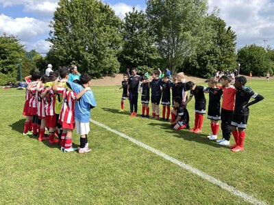 Vor Spiel 2 (Endergebnis 2:1) 