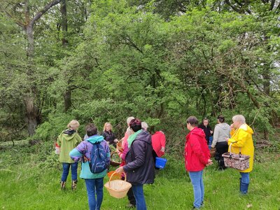 Foto des Albums: Kräuterworkshop