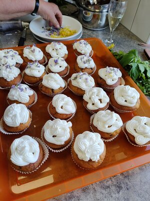 Foto des Albums: Kräuterworkshop