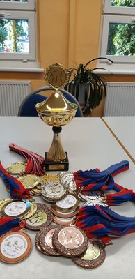 Foto des Albums: Sortfest und Spendenlauf am Kindertag