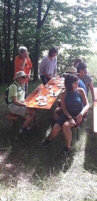 Foto des Albums: Pfingstwanderung des Turnvereins