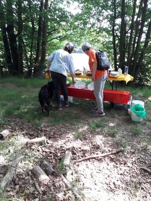 Foto des Albums: Pfingstwanderung des Turnvereins