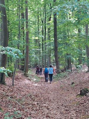 Foto des Albums: Pfingstwanderung des Turnvereins