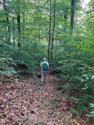 Foto des Albums: Pfingstwanderung des Turnvereins