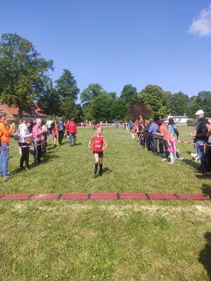 Foto des Albums: Brüssower Lauf 27.05.2023