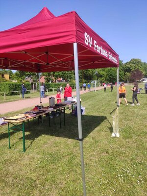 Foto des Albums: Brüssower Lauf 27.05.2023