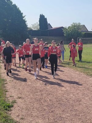Foto des Albums: Brüssower Lauf 27.05.2023