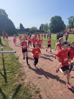 Foto des Albums: Brüssower Lauf 27.05.2023