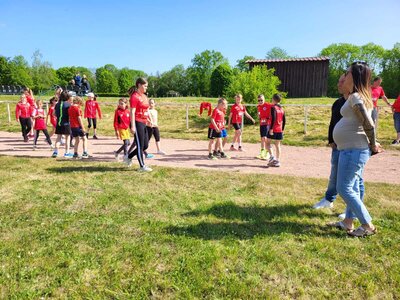 Foto des Albums: Brüssower Lauf 27.05.2023