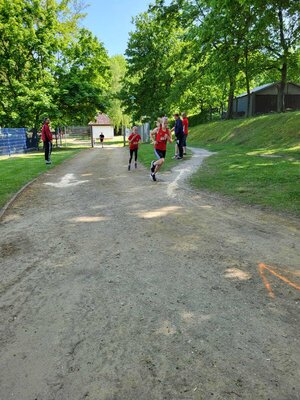 Foto des Albums: Brüssower Lauf 27.05.2023