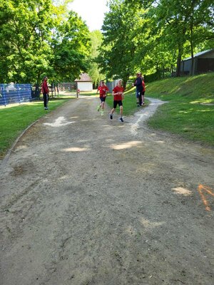 Foto des Albums: Brüssower Lauf 27.05.2023