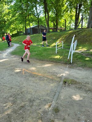 Foto des Albums: Brüssower Lauf 27.05.2023