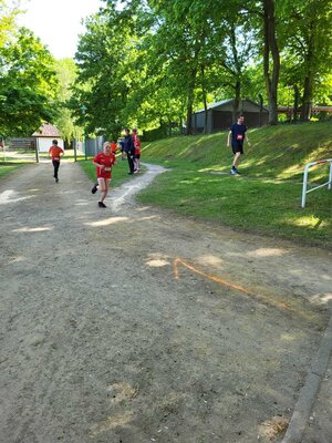 Foto des Albums: Brüssower Lauf 27.05.2023