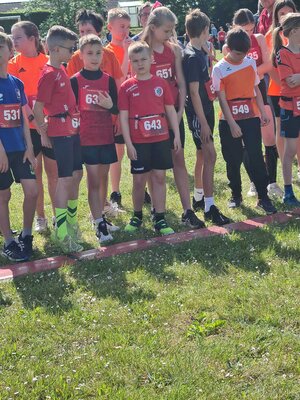 Foto des Albums: Brüssower Lauf 27.05.2023