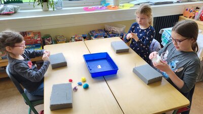 Foto des Albums: Schulfest mit Projektwoche