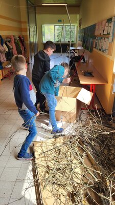 Foto des Albums: Schulfest mit Projektwoche