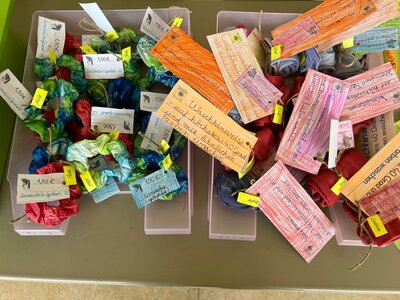 Foto des Albums: Schulfest mit Projektwoche