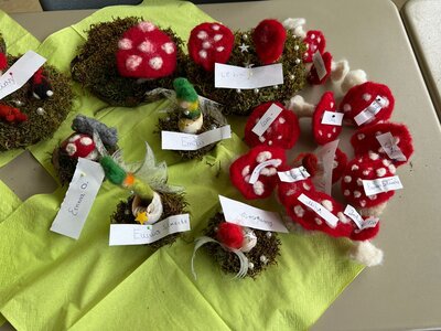 Foto des Albums: Schulfest mit Projektwoche