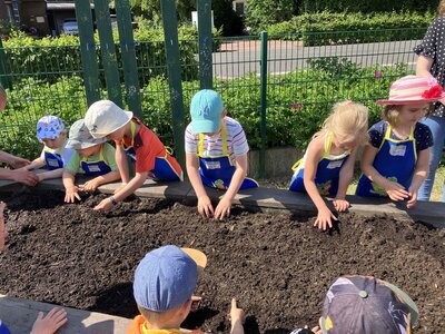 Foto des Albums: Bildung am Hochbeet