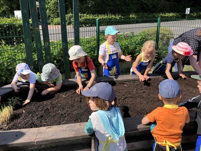 Foto des Albums: Bildung am Hochbeet