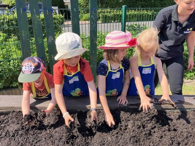 Foto des Albums: Bildung am Hochbeet