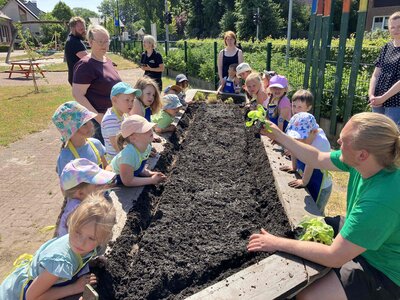 Foto des Albums: Bildung am Hochbeet
