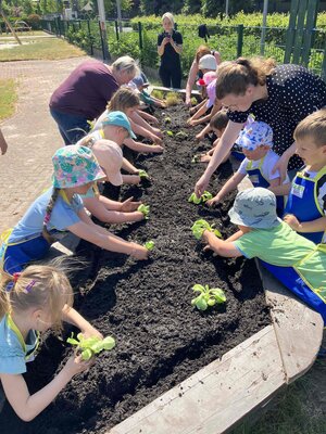 Foto des Albums: Bildung am Hochbeet
