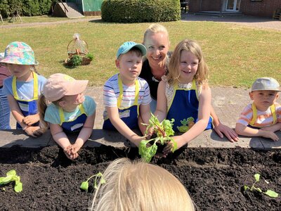 Foto des Albums: Bildung am Hochbeet