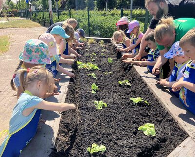 Foto des Albums: Bildung am Hochbeet