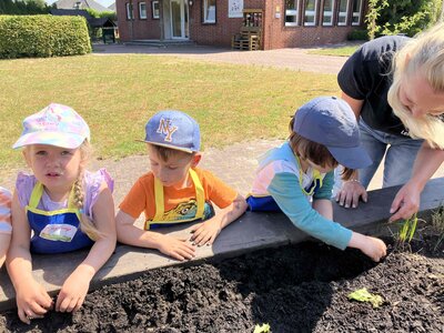 Foto des Albums: Bildung am Hochbeet