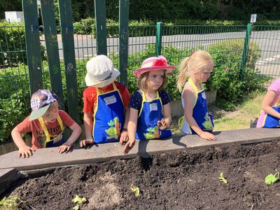 Foto des Albums: Bildung am Hochbeet