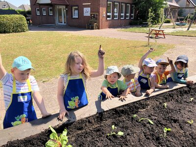 Foto des Albums: Bildung am Hochbeet