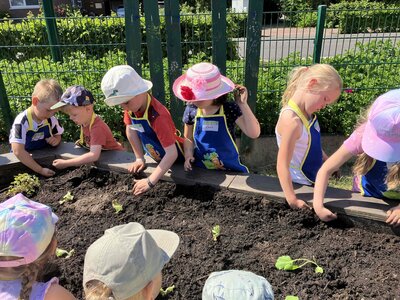 Foto des Albums: Bildung am Hochbeet