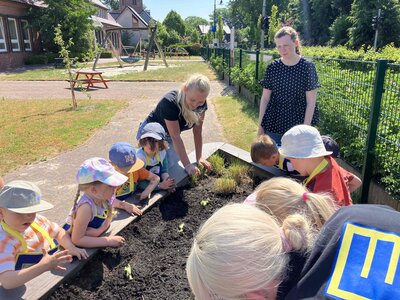 Foto des Albums: Bildung am Hochbeet