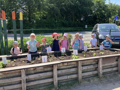 Foto des Albums: Bildung am Hochbeet