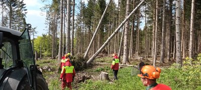 Foto des Albums: Ausbildung Motorkettensägenführer 06/23