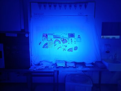 Foto des Albums: Wunderwelt Licht