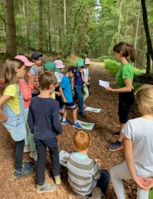 Foto des Albums: Waldjugendspiele in Trassem 2023