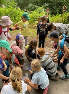 Foto des Albums: Waldjugendspiele in Trassem 2023