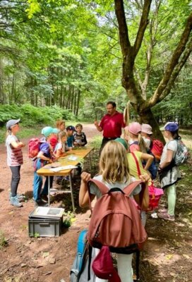 Foto des Albums: Waldjugendspiele in Trassem 2023
