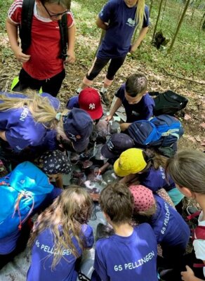 Foto des Albums: Waldjugendspiele in Trassem 2023