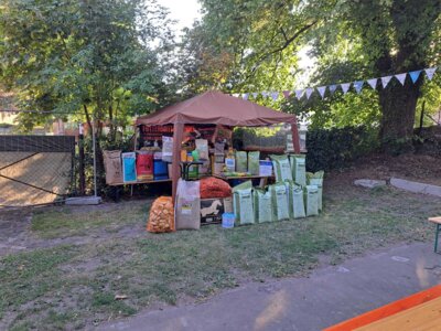 Foto des Albums: Kaninchenschau