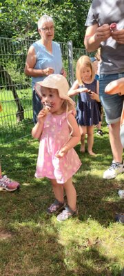 Foto des Albums: Sommerfest 2023