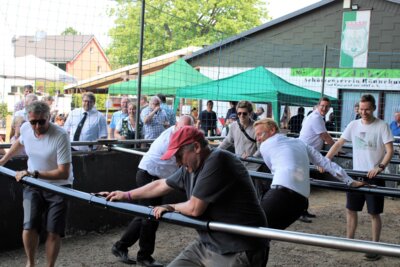 Foto des Albums: Sommerfest