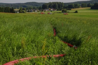 Foto des Albums: Brand Mittel - Rauchentwicklung Feld/Kleingarten hinter Schule 06/23