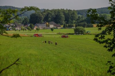 Foto des Albums: Brand Mittel - Rauchentwicklung Feld/Kleingarten hinter Schule 06/23