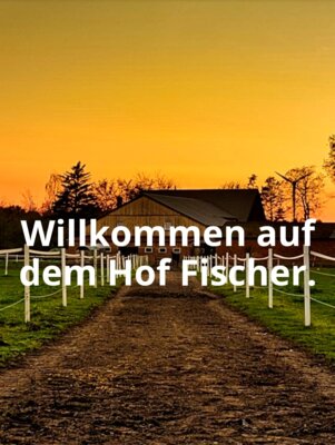 Foto des Albums: Alpaka Ausflug