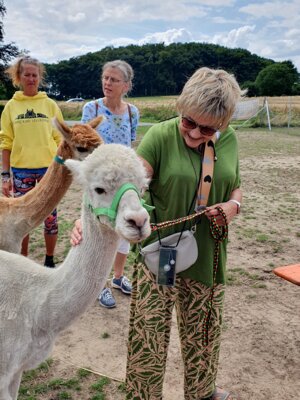 Foto des Albums: Alpaka Ausflug