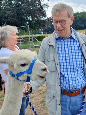 Foto des Albums: Alpaka Ausflug